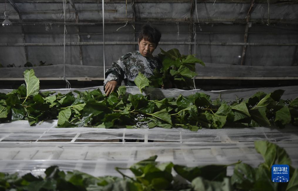 游戏网站平台大全